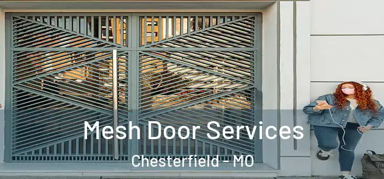Mesh Door Services Chesterfield - MO